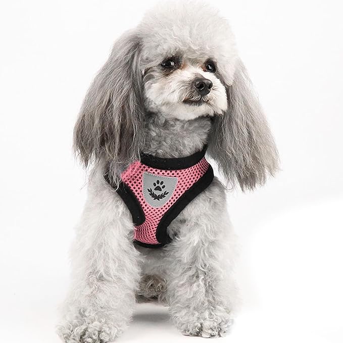 shudyear Summer cat Chest Harness and Leash, Anti-Escape Adjustable Soft mesh - Image 6
