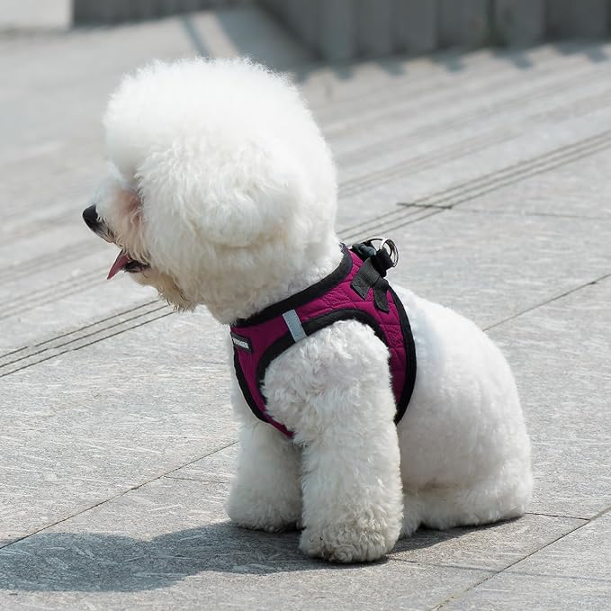 Best Pet Supplies - Image 7