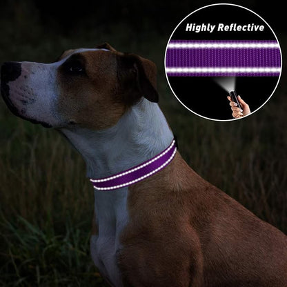 TagME Reflective Nylon Dog Collars, Adjustable Classic Pet Collar - Image 5