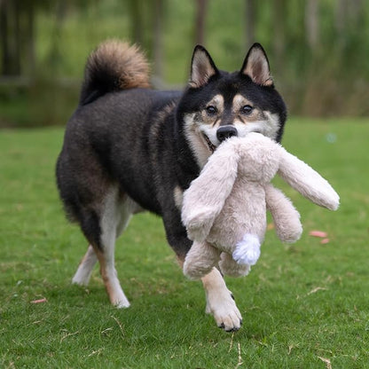 Best Pet Supplies Squeaky Dog Toys - Image 6