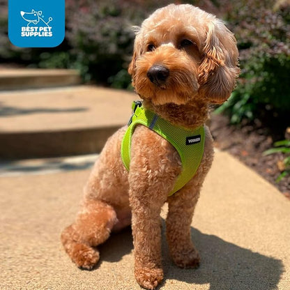 Best Pet Supplies Voyager Step-in Air Harness - Image 9
