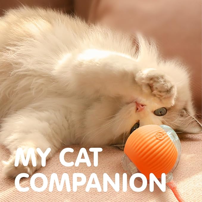 Rocfish Durable Interactive Cat Toys - Image 7
