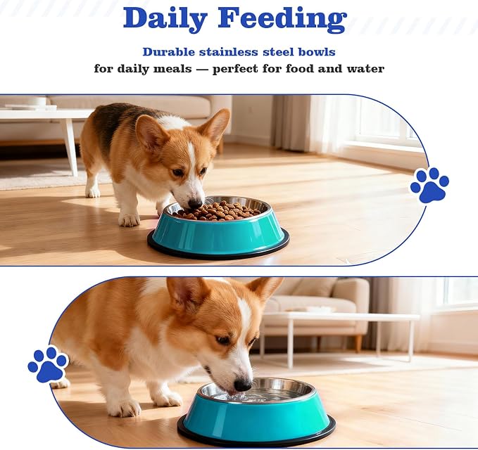 Puppy Supplies Starter Kit – Puppy Essentials and Dog Stuff Set - Image 3