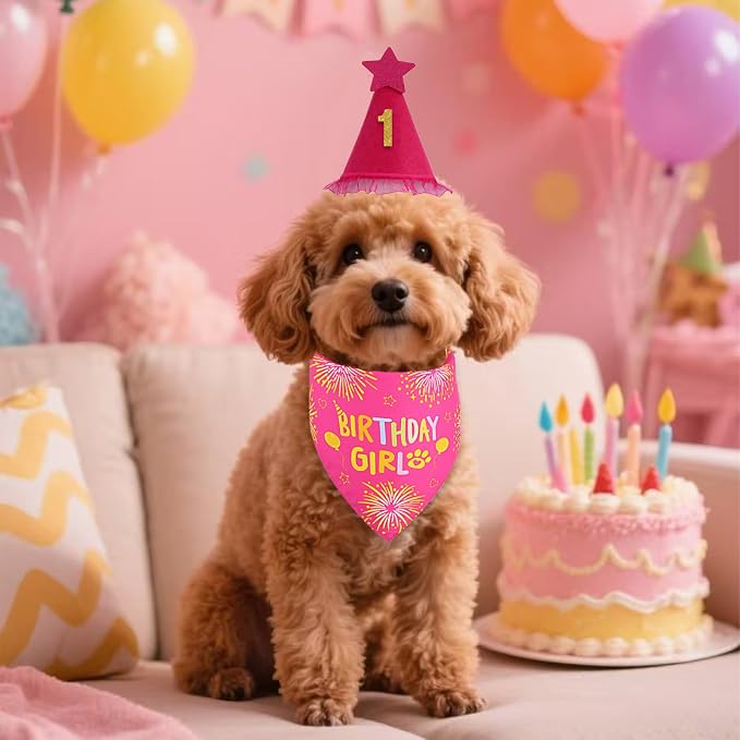 Dog Birthday Party Supplies, Rose Pink Dog Birthday Set - Image 7
