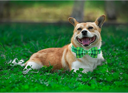 Lionheart glory Dog Bow Collar St. Patrick's Day Dog Collar - Image 5
