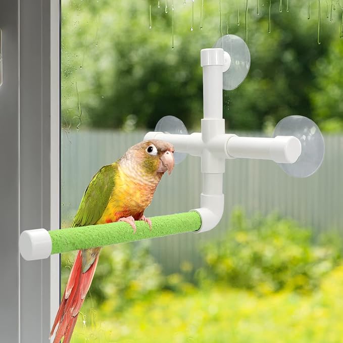 Bird Portable Suction Cup Shower Perch Window Wall Standing Platform - Image 3