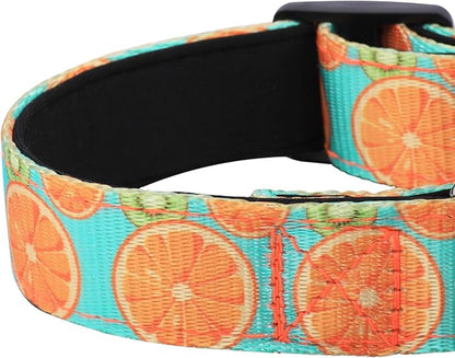 Reflective Dog Collar, Adjustable Soft Neoprene Padded Nylon Pet Collars - Image 5