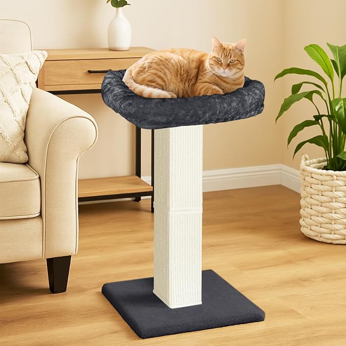 AGYM Cat Scratching Post, 32”Cat Scratcher - Image 2