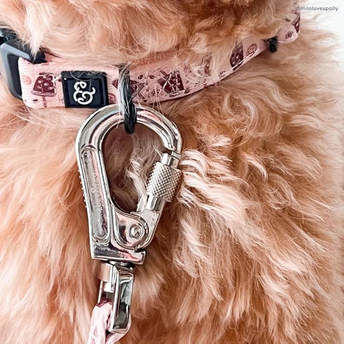 Lucy & Co. Dog Collar - Image 4