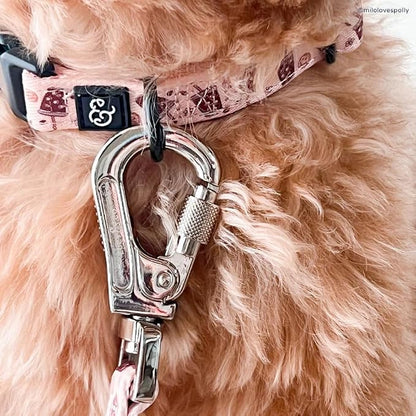 Lucy & Co. Dog Collar - Image 4