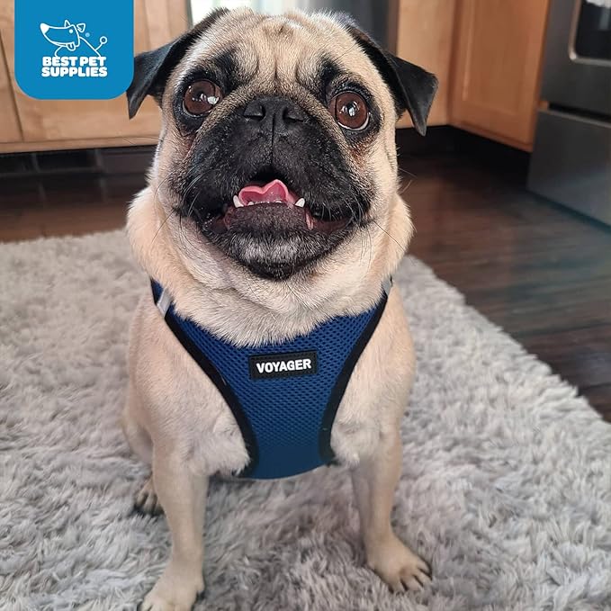 Best Pet Supplies Voyager Step-in Air Harness - Image 10