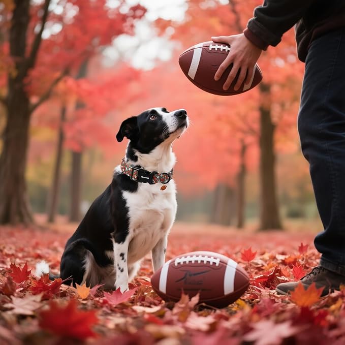 DOGWONG Fall Dog Collar, Rugby Maple Leaf Dog Collar Adjustable Soft Cute - Image 5