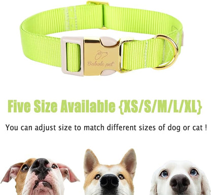 Nylon Dog Collar - Image 7