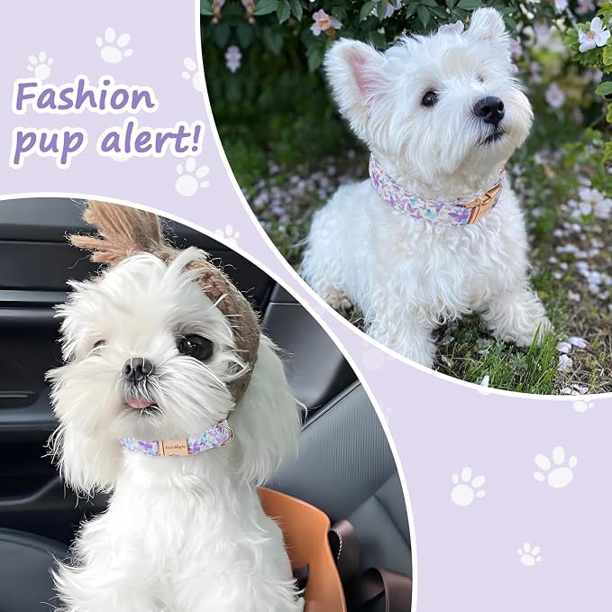 Elegant Butterfly Dog Collar, Adjustable Comfortable - Image 6