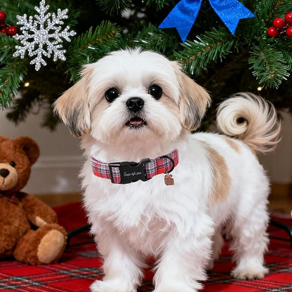 Christmas Dog Collar, Unique Style Paws Red Green Grids Dog Collar - Image 4