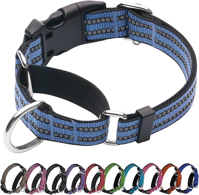 Martingale Dog Collar, Adjustable Nylon Reflective Collar by JOYEEIIOO