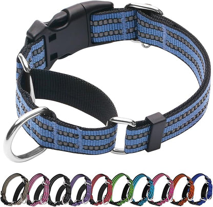 Martingale Dog Collar, Adjustable Nylon Reflective Collar by JOYEEIIOO