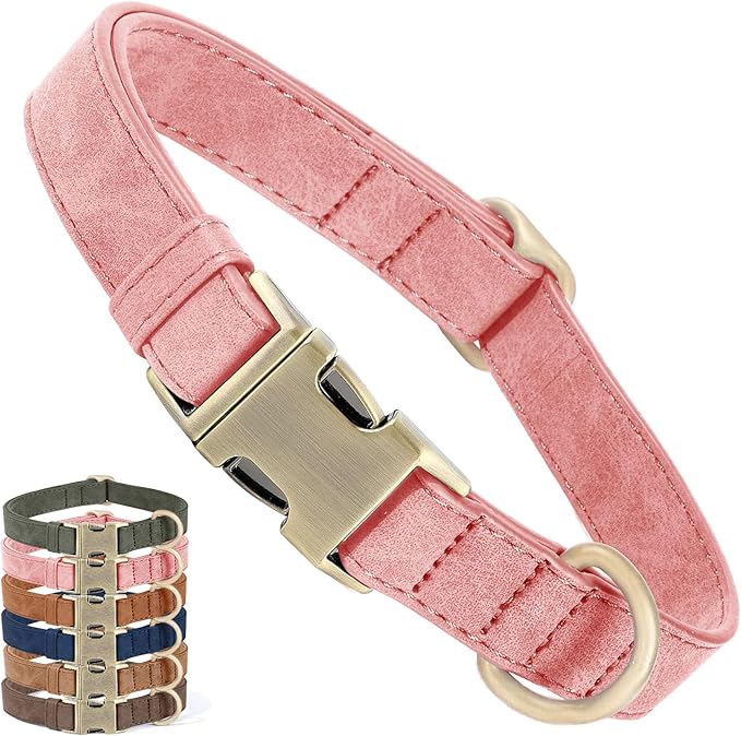 Genuine Leather Dog Collar by HOME