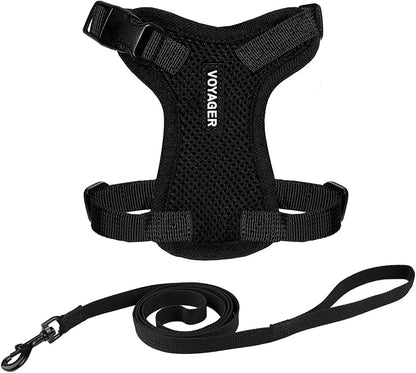 Voyager Escape-Proof Step-in Lock Cat Harness & 5ft Neoprene-Handle Leash Set by BestPetSuppliesLLC