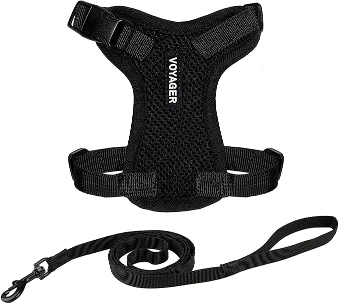 Voyager Escape-Proof Step-in Lock Cat Harness & 5ft Neoprene-Handle Leash Set by BestPetSuppliesLLC