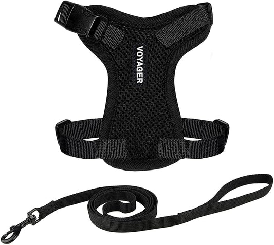 Voyager Escape-Proof Step-in Lock Cat Harness & 5ft Neoprene-Handle Leash Set by BestPetSuppliesLLC