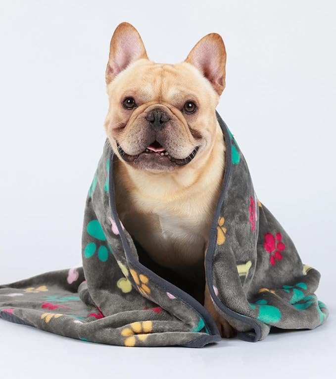 Luciphia 1 Pack 3 Blankets Fluffy Premium Fleece Pet Blanket Flannel Paw Bone - Image 5