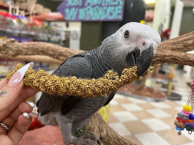 1lb Millet Tips & Tails for Birds - Image 9