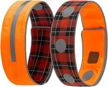 SPOT THE DOG! Reflective Dog Collar by SPOTTHEDOG