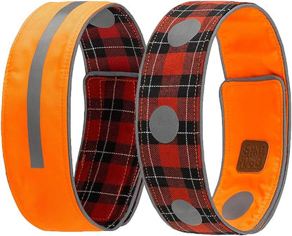SPOT THE DOG! Reflective Dog Collar by SPOTTHEDOG