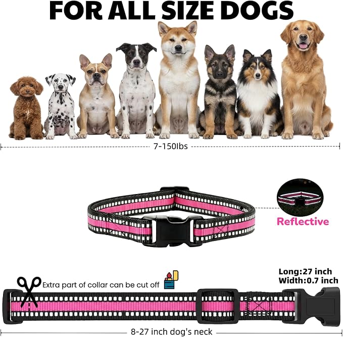 Dog Training Collar Replacement and Shock Collar Strap - Image 2