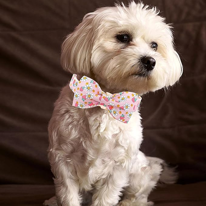 Lionheart glory Dog Collar Bow Collar Pink Dog Collar - Image 6