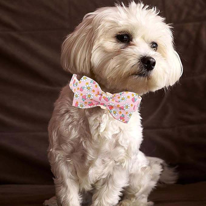 Lionheart glory Dog Collar Bow Collar Pink Dog Collar - Image 4