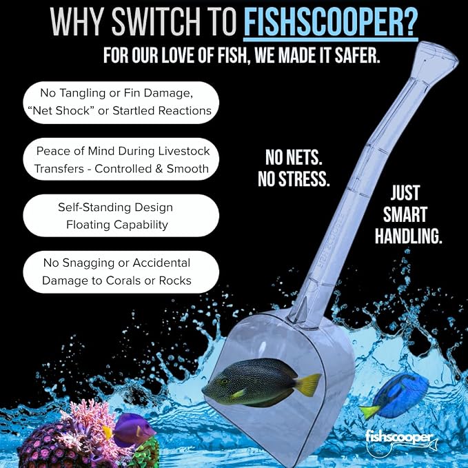 Fish Scooper, Acclimation Container, Fish Trap, Floating Fish Net, Axolotl Tank - Image 4