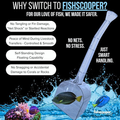 Fish Scooper, Acclimation Container, Fish Trap, Floating Fish Net, Axolotl Tank - Image 4