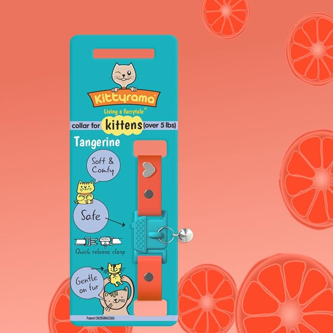 Kittyrama Tangerine Kitten Collar - Image 6