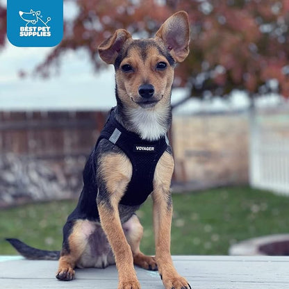 Best Pet Supplies - Image 11