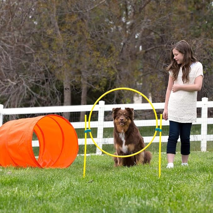 Outward Hound Zip & Zoom Outdoor Dog Agility Training Kit - Image 11