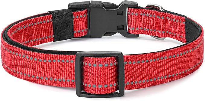 Reflective Dog Collar Padded - Image 6