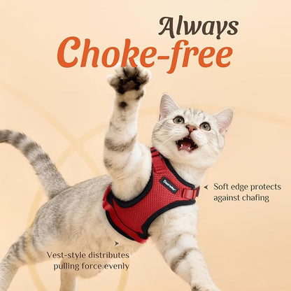 Dooradar Cat Harness and Leash Set, Escape Proof Safe Adjustable Kitten Vest - Image 2
