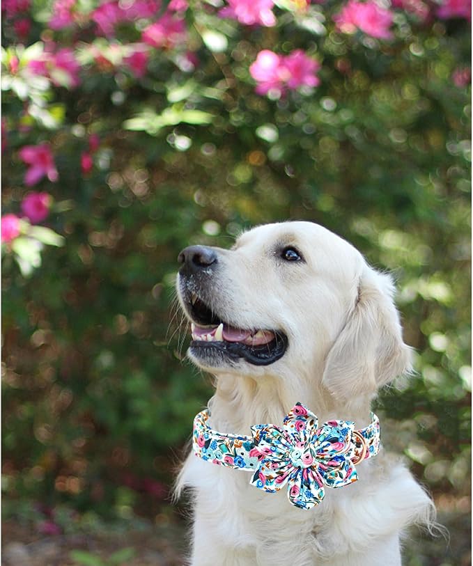 Lionheart glory Dog Collar Flowers Collar Floral Dog Collar - Image 3