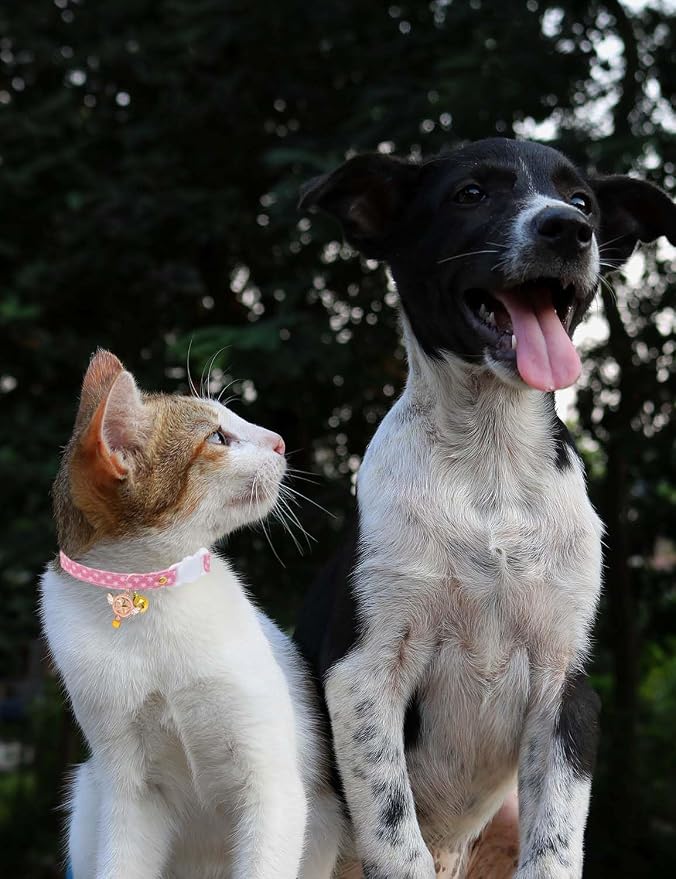 Cat Collar Breakaway with Bells, 3 Pack Safety Adjustable Pet Collars - Image 4