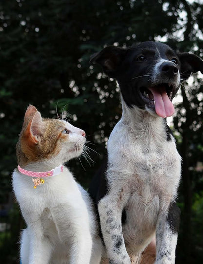 Cat Collar Breakaway with Bells, 3 Pack Safety Adjustable Pet Collars - Image 4