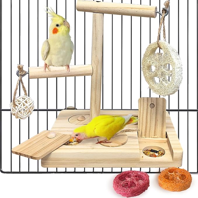 Bird Foraging Toys Parrot Enrichment Puzzle Toy Bird Playground Exploring by Hamiledyi