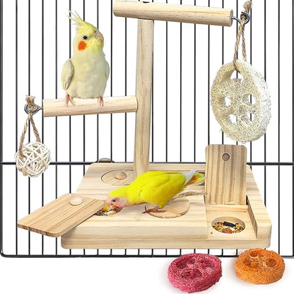 Bird Foraging Toys Parrot Enrichment Puzzle Toy Bird Playground Exploring by Hamiledyi