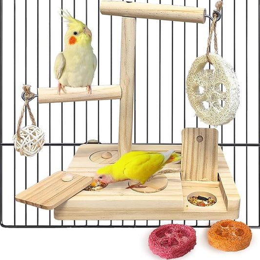 Bird Foraging Toys Parrot Enrichment Puzzle Toy Bird Playground Exploring by Hamiledyi