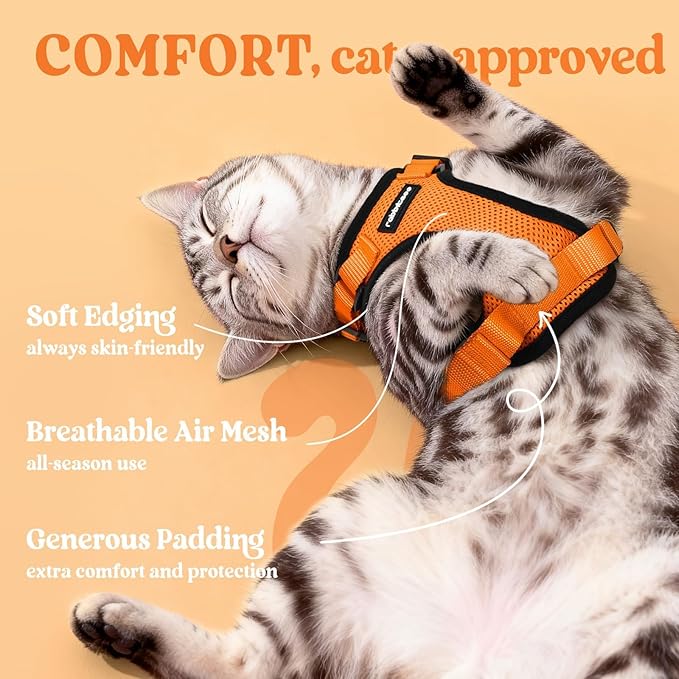 rabbitgoo Cat Harness and Leash - Image 4