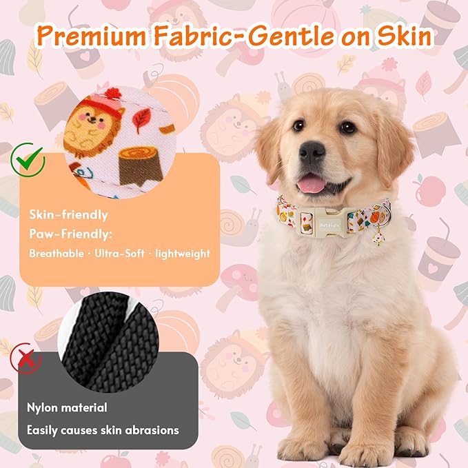 Fall Woodland Dog Collar, Playful Squirrel & Pumpkin Print on White Collar - Image 4