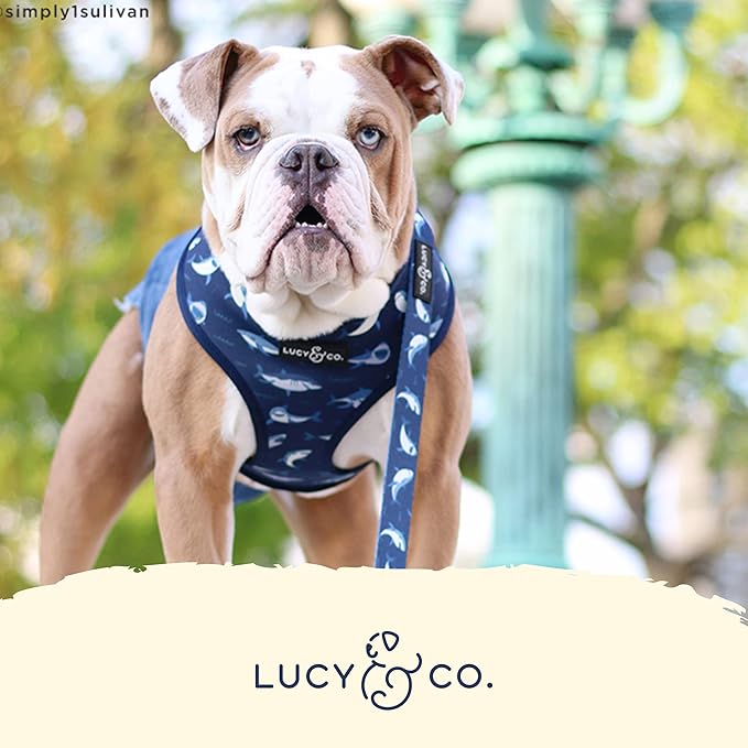 Lucy & Co. Reversible Dog Harness Walking Halter - Image 5