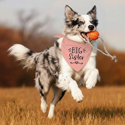 Big Sister Dog Bandanas, Pet Dog Triangle Scarf - Image 6
