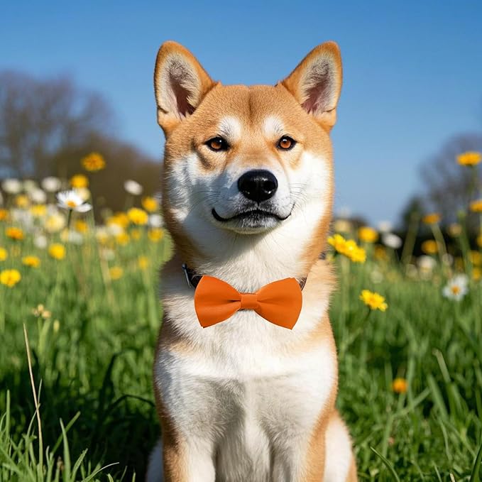 PET SHOW 12 Colors Plain Small Dogs Collar Embellishment Attachment Bow Ties - Image 5